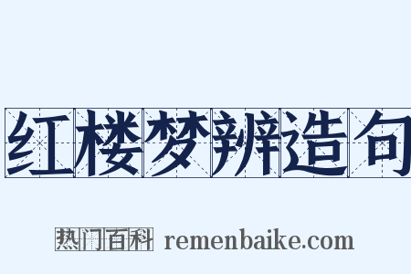 红楼梦辨造句是什么意思的图片